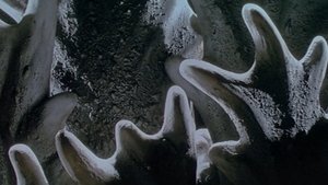 undefined Images